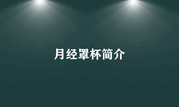 月经罩杯简介