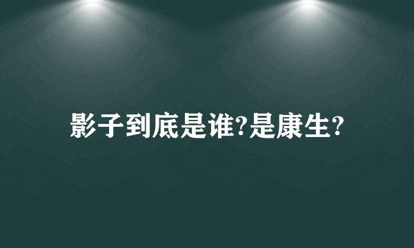 影子到底是谁?是康生?