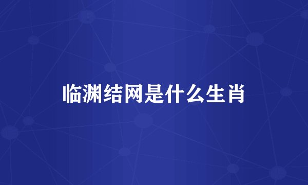 临渊结网是什么生肖