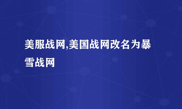 美服战网,美国战网改名为暴雪战网