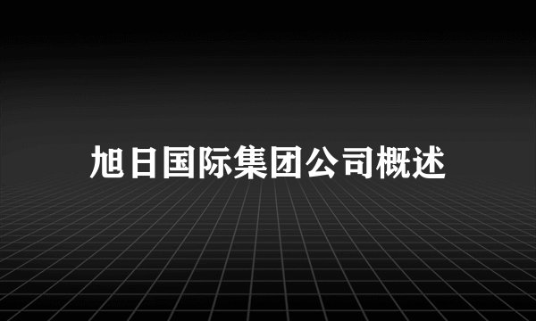 旭日国际集团公司概述
