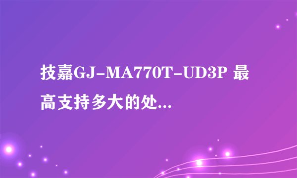 技嘉GJ-MA770T-UD3P 最高支持多大的处理器 显卡？
