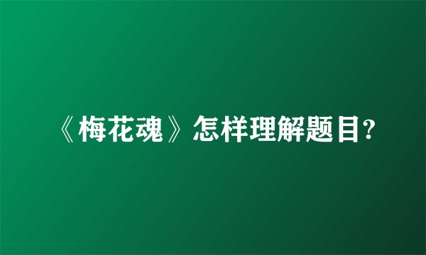 《梅花魂》怎样理解题目?