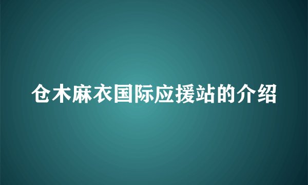 仓木麻衣国际应援站的介绍