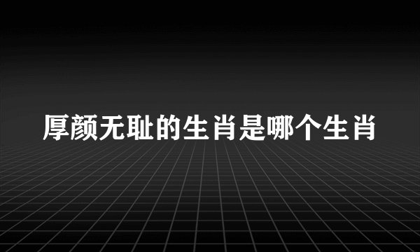 厚颜无耻的生肖是哪个生肖