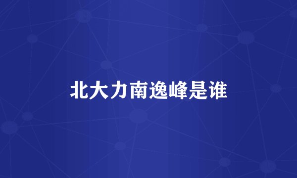 北大力南逸峰是谁