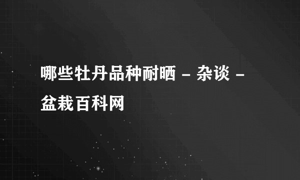哪些牡丹品种耐晒 - 杂谈 - 盆栽百科网