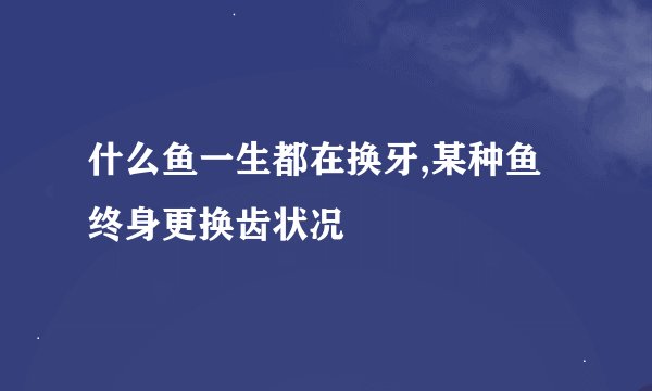 什么鱼一生都在换牙,某种鱼终身更换齿状况
