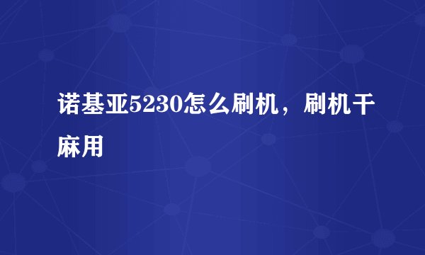 诺基亚5230怎么刷机，刷机干麻用