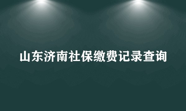 山东济南社保缴费记录查询