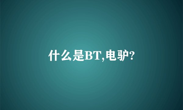 什么是BT,电驴?