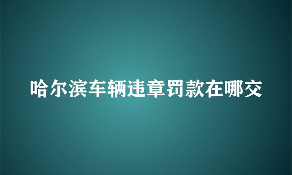 哈尔滨车辆违章罚款在哪交