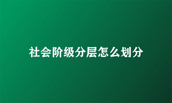 社会阶级分层怎么划分