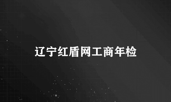 辽宁红盾网工商年检