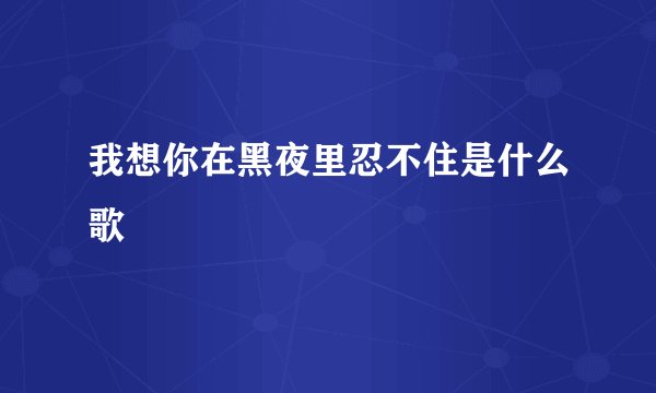 我想你在黑夜里忍不住是什么歌