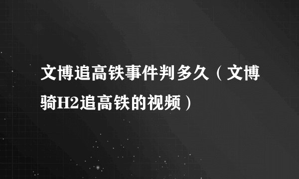 文博追高铁事件判多久(文博骑H2追高铁的视频)