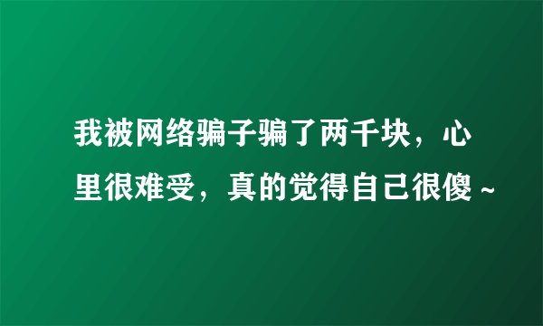 我被网络骗子骗了两千块，心里很难受，真的觉得自己很傻～