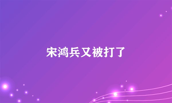 宋鸿兵又被打了