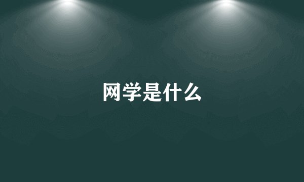 网学是什么