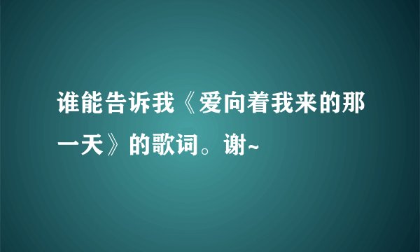 谁能告诉我《爱向着我来的那一天》的歌词。谢~