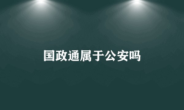 国政通属于公安吗