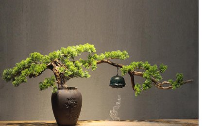 花盆里养不出万年松 出自哪里？是谁说的？来源何处