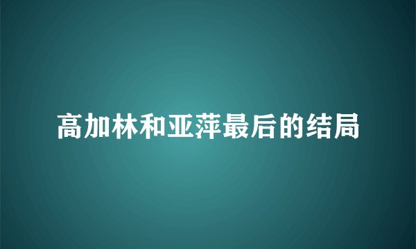 高加林和亚萍最后的结局