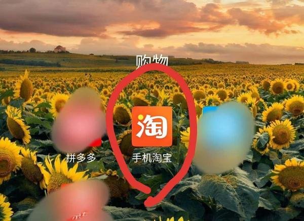 如何在淘宝上购物