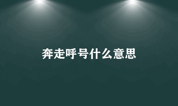 奔走呼号什么意思