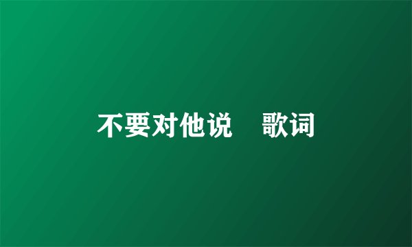 不要对他说 歌词