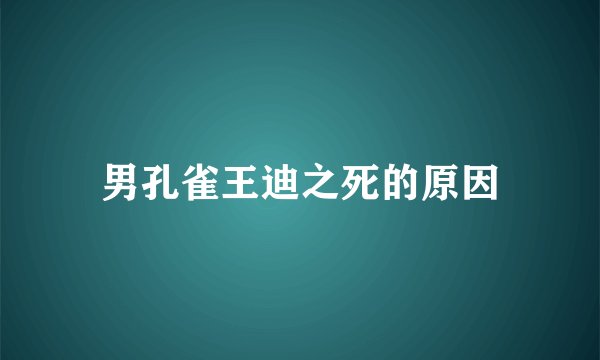 男孔雀王迪之死的原因