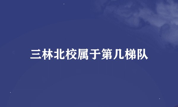 三林北校属于第几梯队