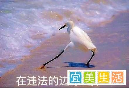 中央政法委点名批评：这绝不是无辜！