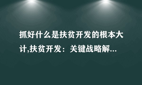 抓好什么是扶贫开发的根本大计,扶贫开发：关键战略解决贫困问题