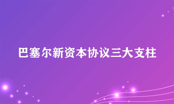 巴塞尔新资本协议三大支柱