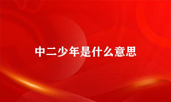 中二少年是什么意思