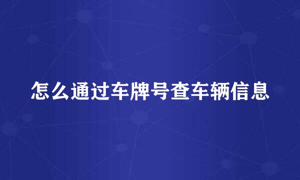 怎么通过车牌号查车辆信息