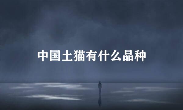 中国土猫有什么品种