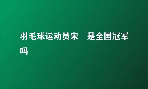 羽毛球运动员宋湲是全国冠军吗