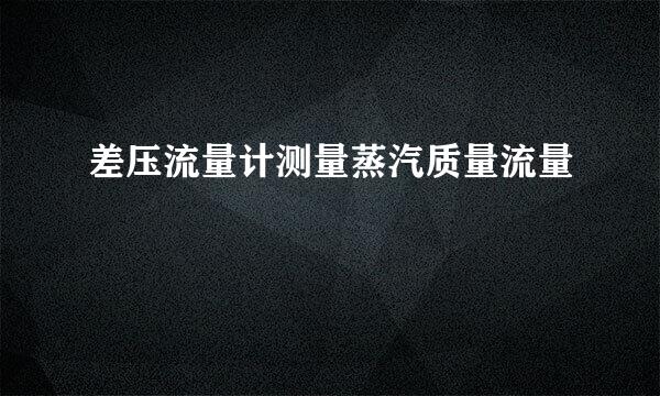 差压流量计测量蒸汽质量流量