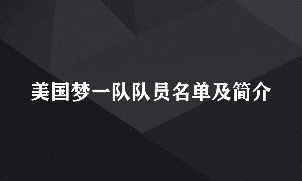 美国梦一队队员名单及简介