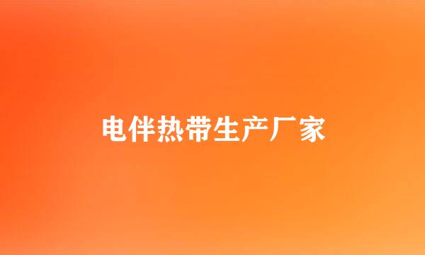 电伴热带生产厂家