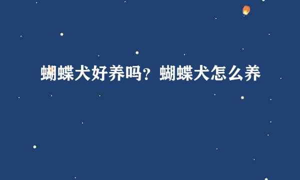 蝴蝶犬好养吗？蝴蝶犬怎么养