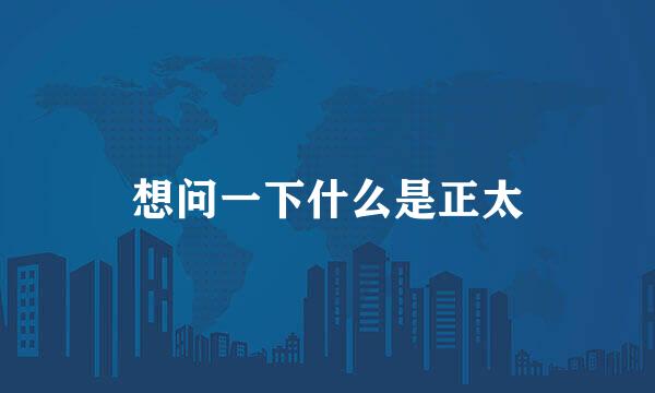 想问一下什么是正太