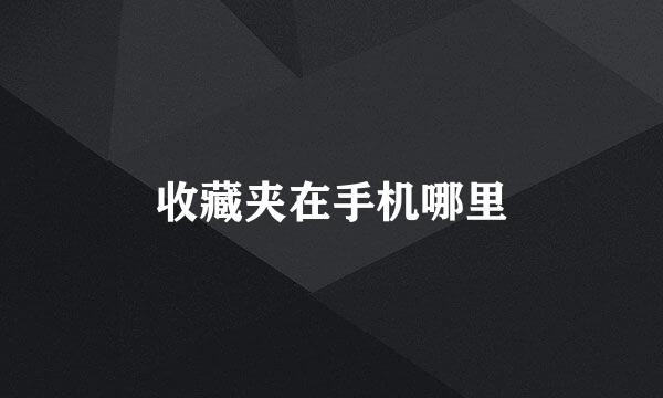 收藏夹在手机哪里