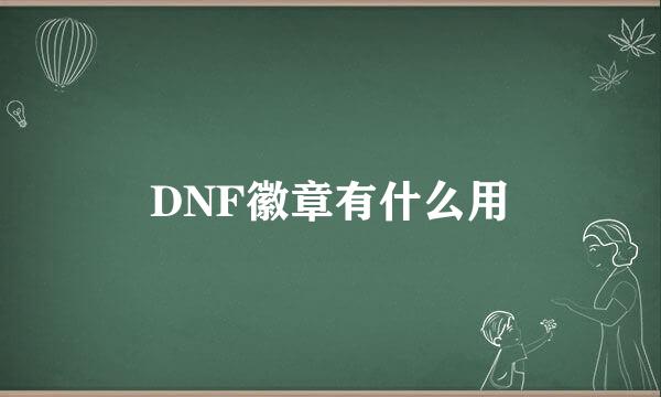 DNF徽章有什么用