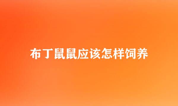 布丁鼠鼠应该怎样饲养