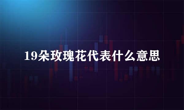 19朵玫瑰花代表什么意思
