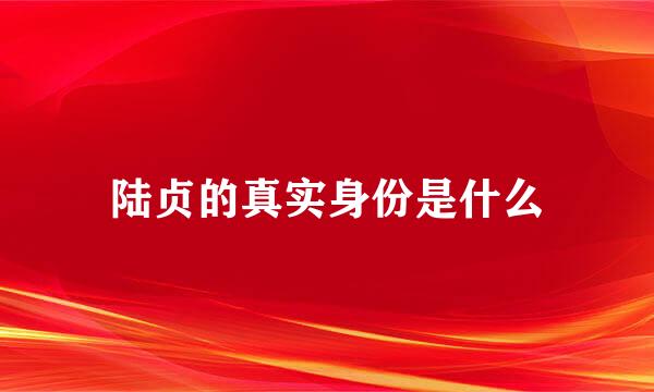 陆贞的真实身份是什么