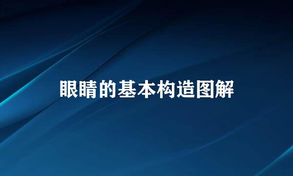 眼睛的基本构造图解
